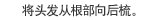 将头发从根部向后梳。