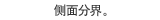 侧面分界。
